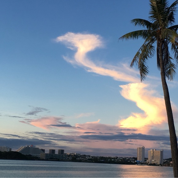 LIVE - Picture 4 of 10